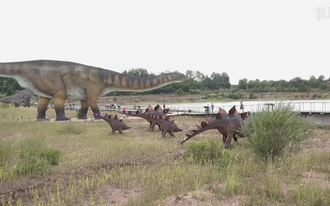 Opolskie na wakacje odc. 6